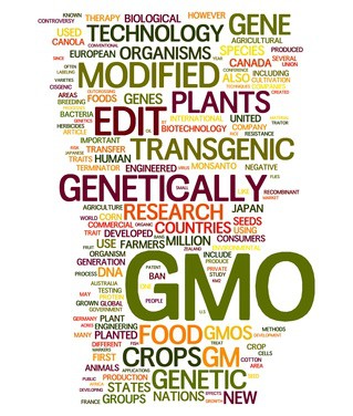 Co znamená pojem GMO?